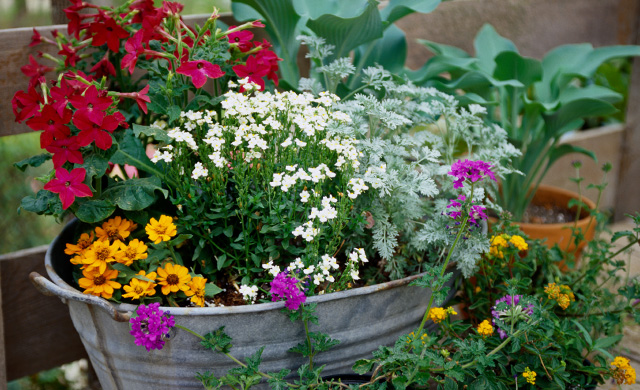 Free Gardening Classes